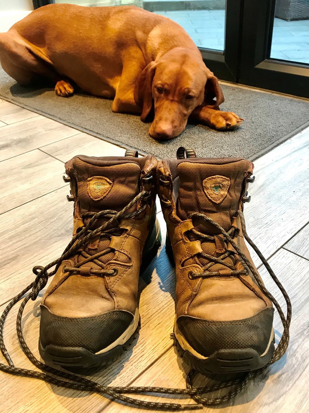 My happy shoes - my walking boots! 🥾 🥾 